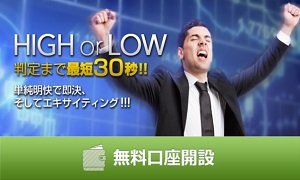 バイナリーライトのサイトトップ バイナリーライトの詳細画像